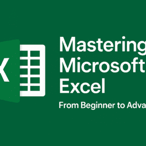 Mastering Microsoft Excel: From Beginner to Advanced